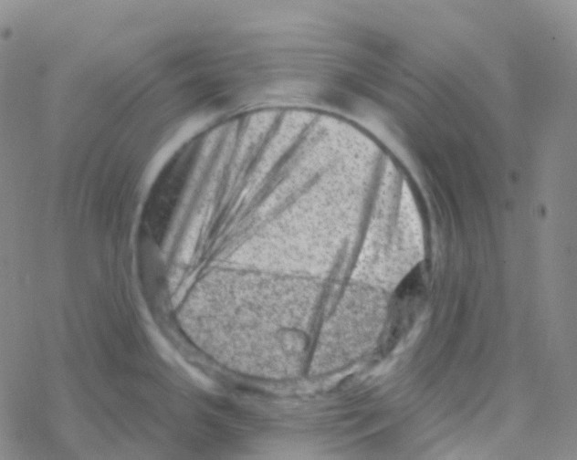 X0000076301341200610271904