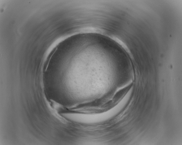 X0000076301342200610271904