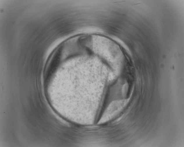 X0000076301343200610271905