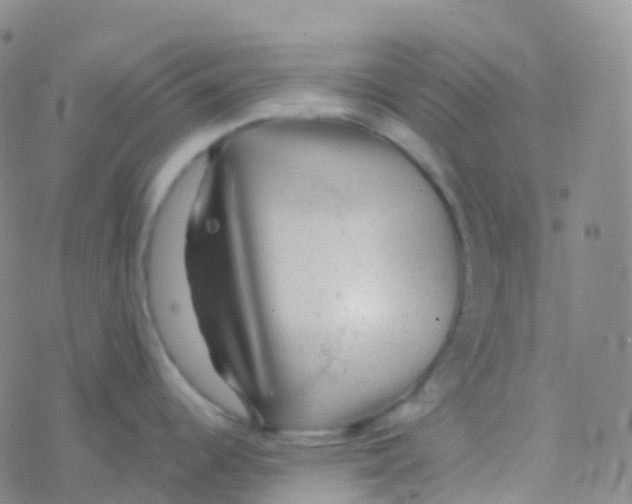 X0000076301344200610271905