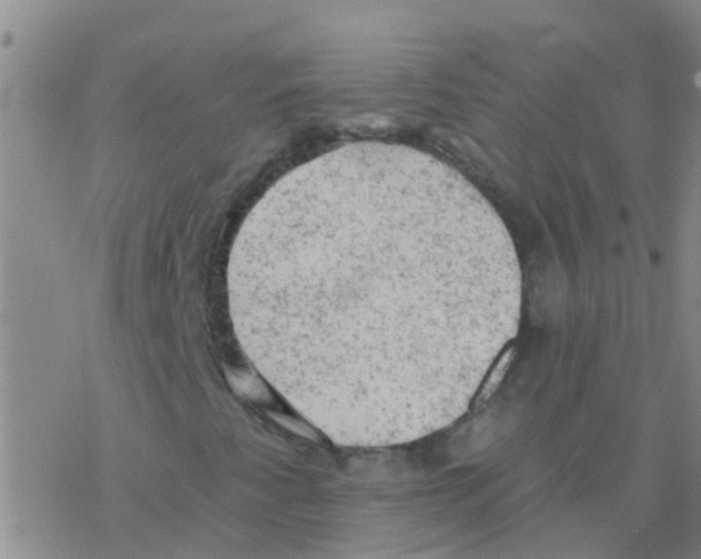 X0000076301345200610271904