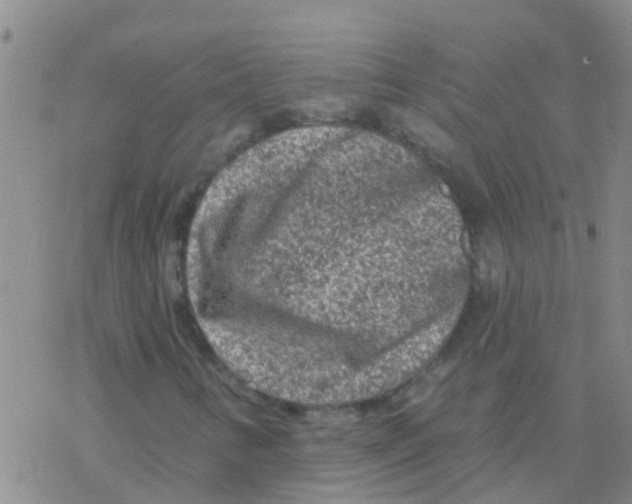 X0000076301346200610271904