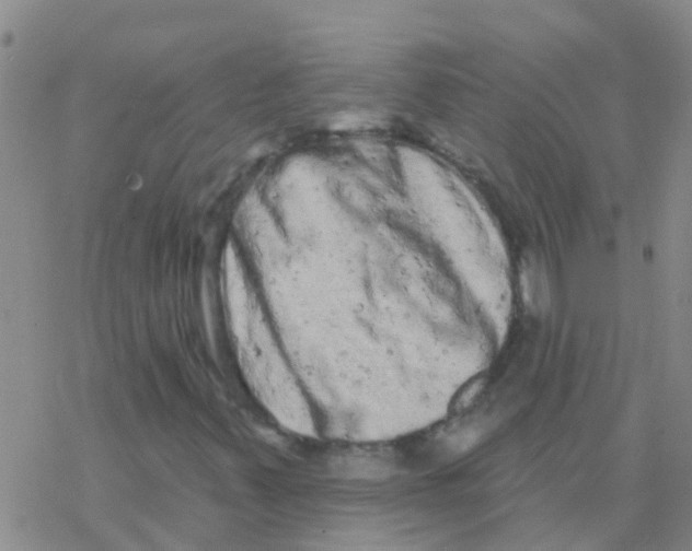 X0000076301347200610271904