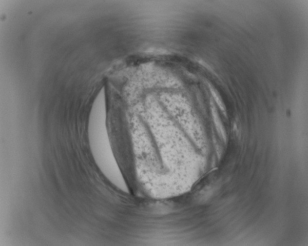 X0000076301348200610271904