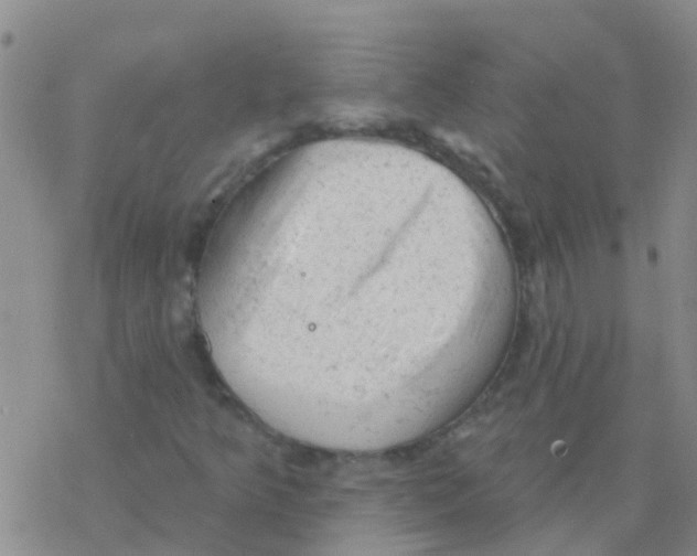 X0000076301349200610271904