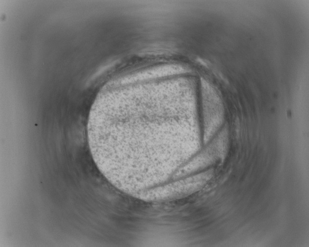 X0000076301350200610271904