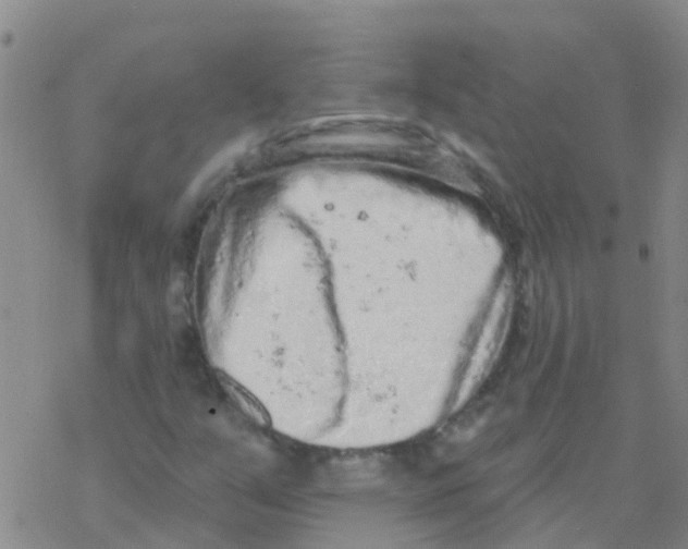 X0000076301351200610271904