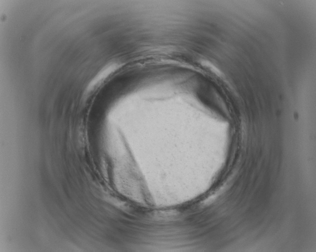 X0000076301354200610271904