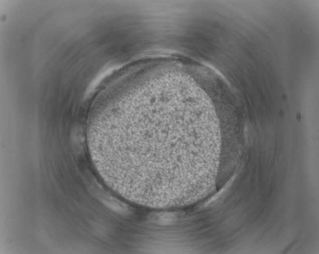 X0000076301355200610271904