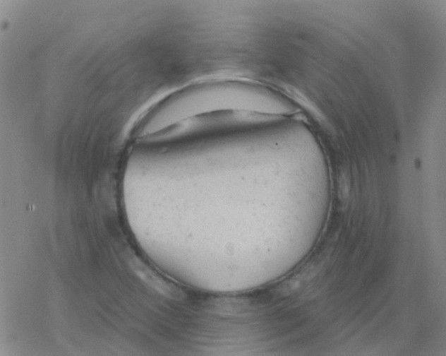 X0000076301356200610271904