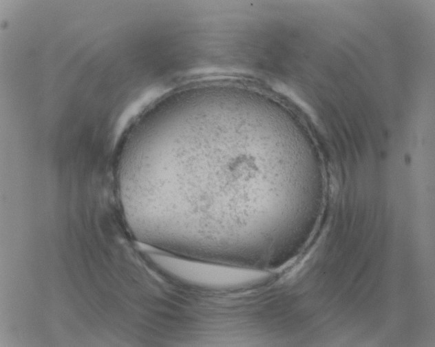 X0000076301357200610271904