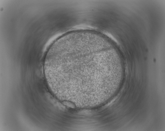 X0000076301358200610271904