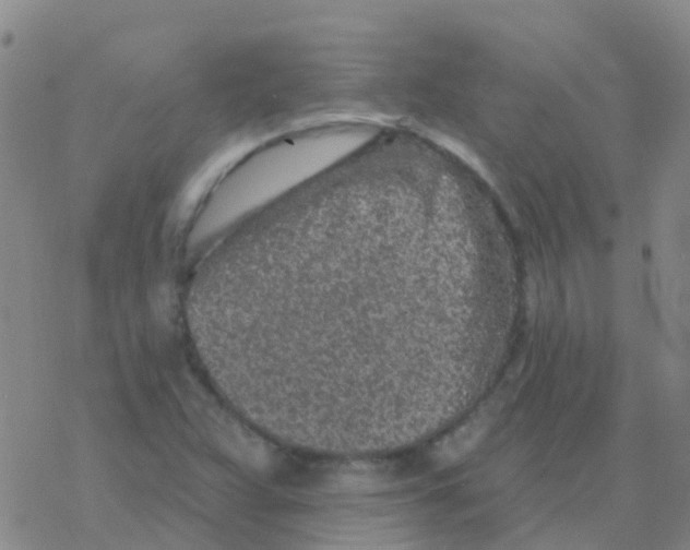 X0000076301359200610271904