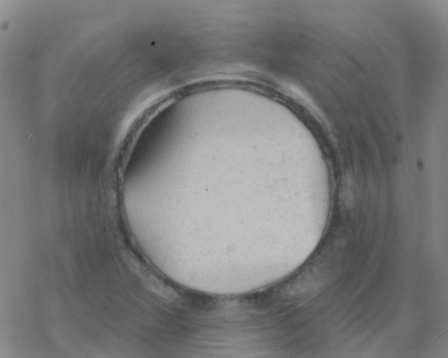 X0000076301360200610271904