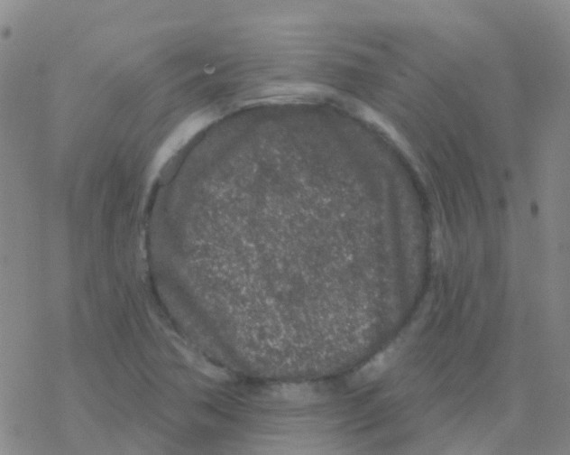 X0000076301362200610271903