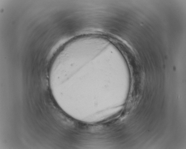 X0000076301363200610271903