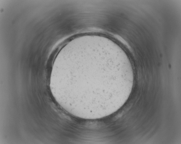 X0000076301364200610271903