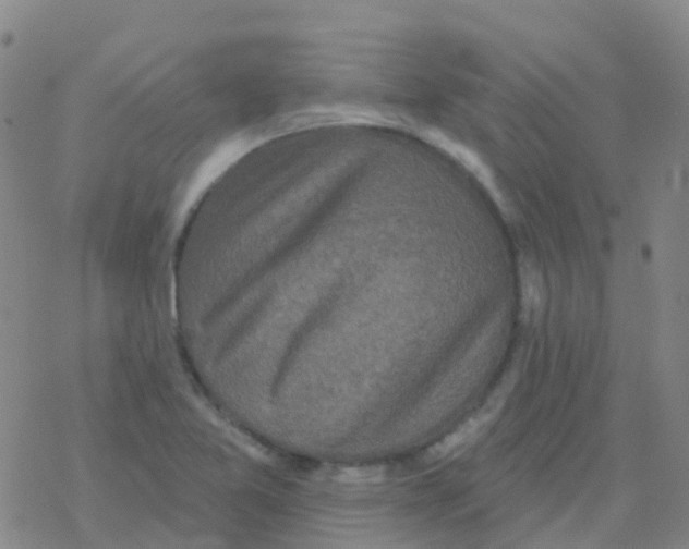 X0000076301365200610271903