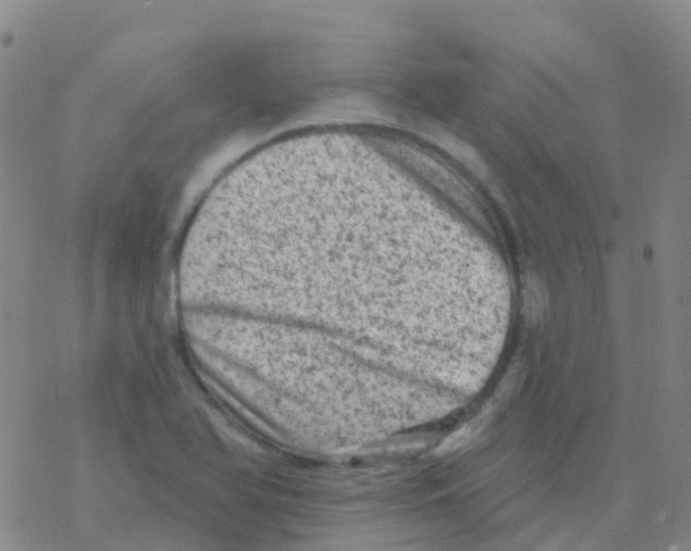 X0000076301366200610271903