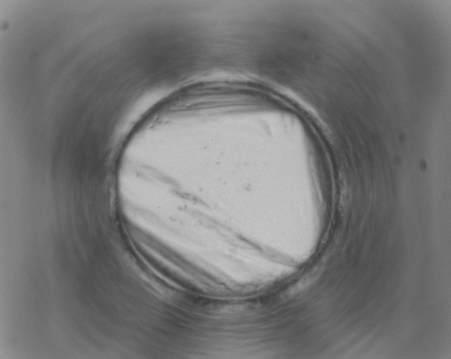 X0000076301367200610271903