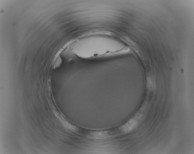 X0000076301369200610271903