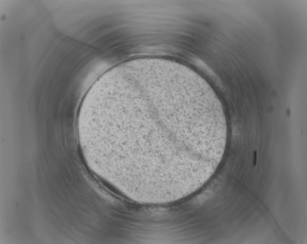 X0000076301370200610271903