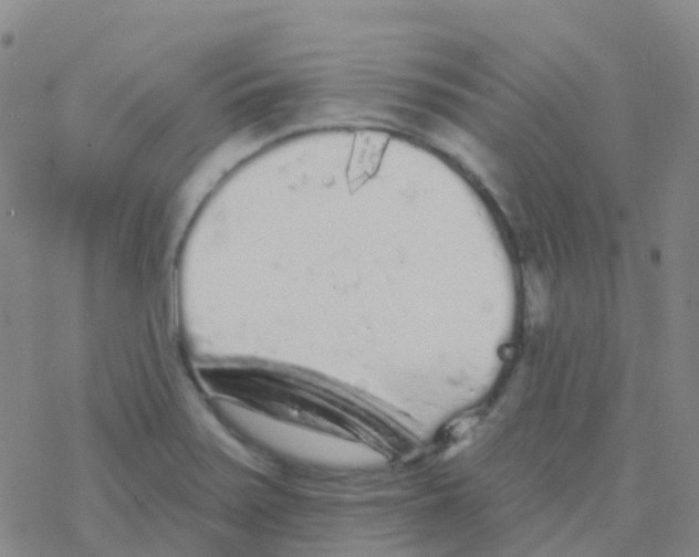 X0000076301371200610271903