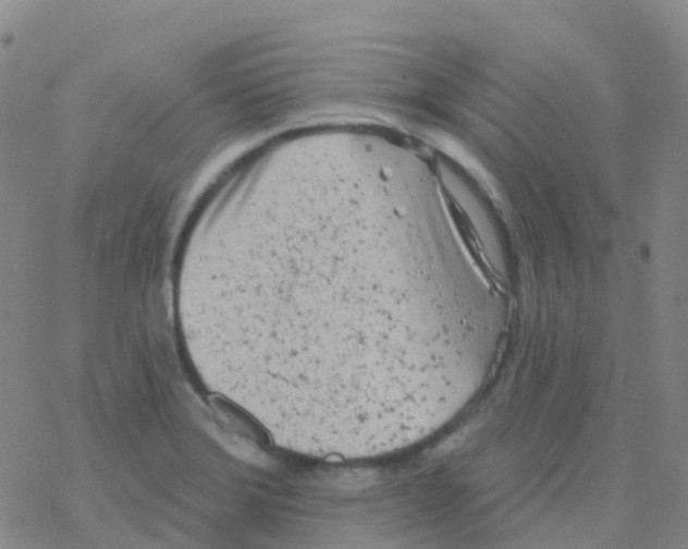 X0000076301372200610271903