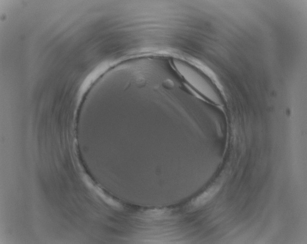 X0000076301373200610271903