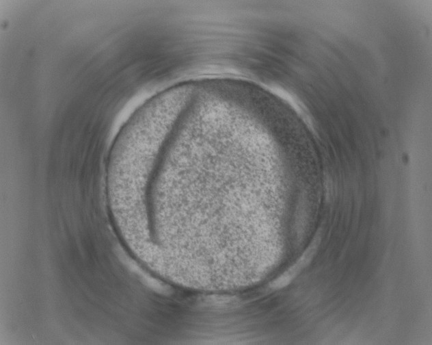 X0000076301374200610271903