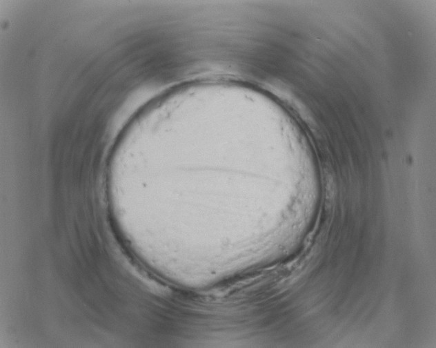 X0000076301375200610271903