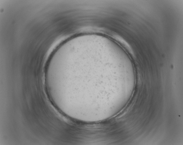 X0000076301376200610271903