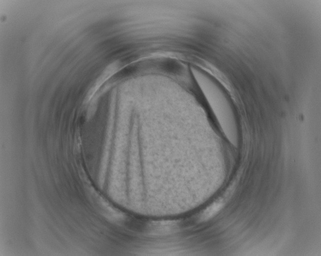 X0000076301377200610271903