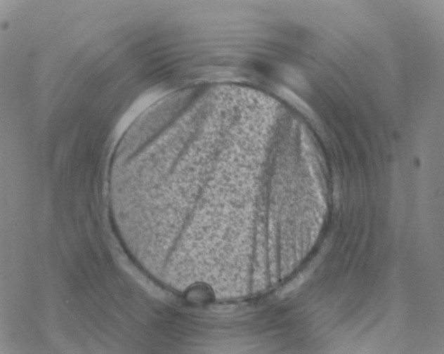 X0000076301378200610271903