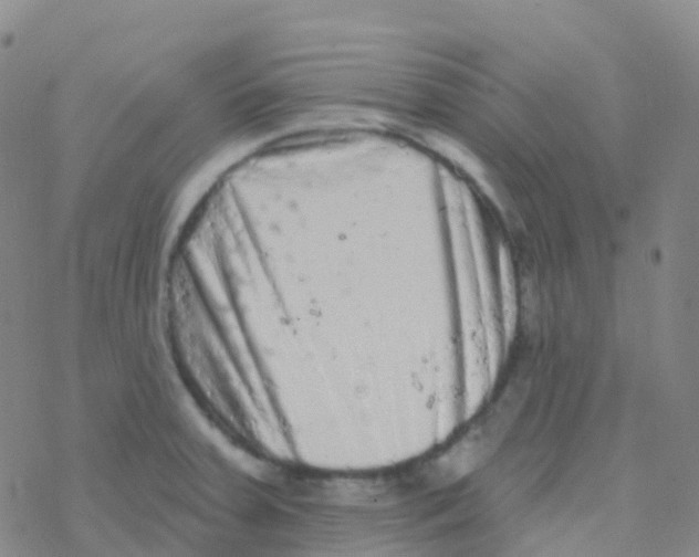 X0000076301379200610271903