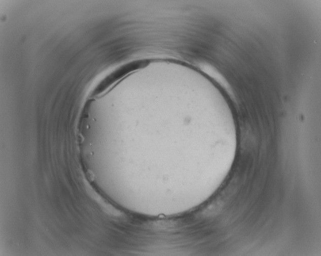 X0000076301380200610271903