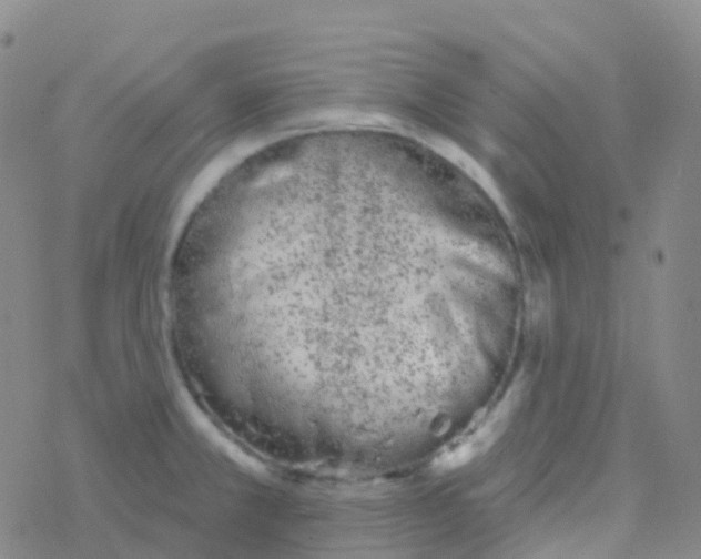 X0000076301381200610271903