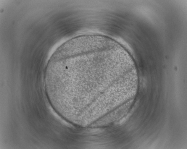 X0000076301382200610271903