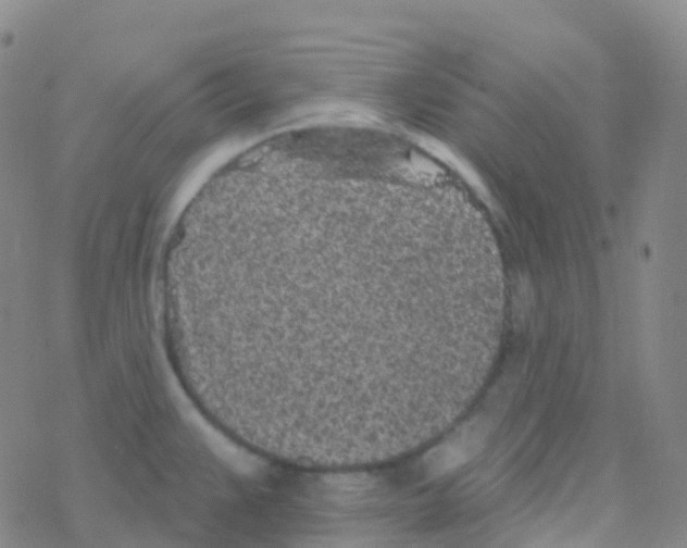 X0000076301383200610271903