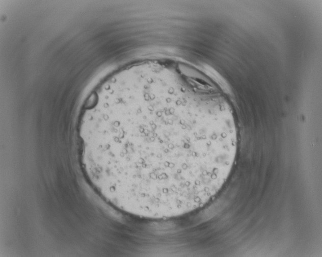 X0000076301384200610271903