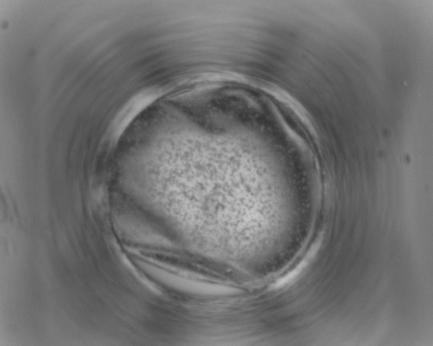 X0000076301385200610271903