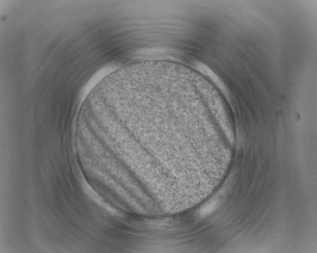 X0000076301386200610271903