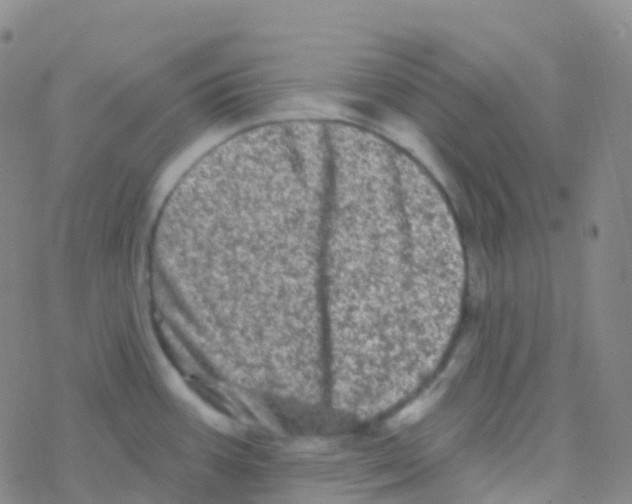 X0000076301387200610271903