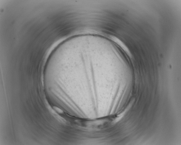 X0000076301388200610271903