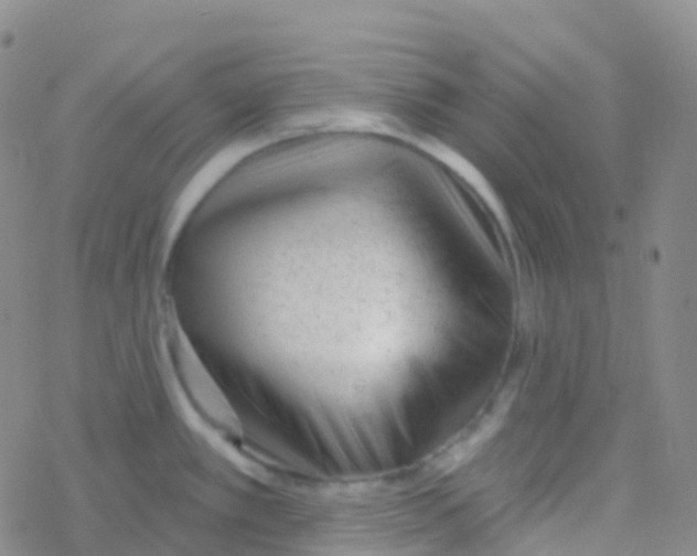 X0000076301389200610271903