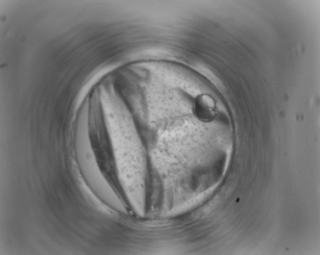 X0000076301392200610271903