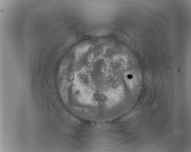 X0000076301393200610271902