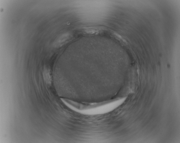 X0000076301394200610271902