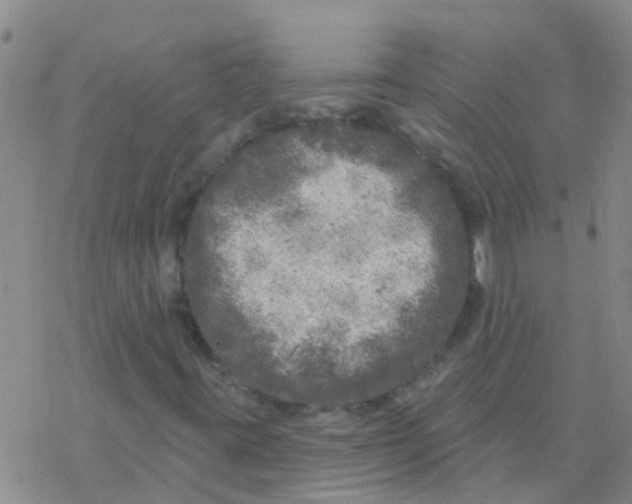 X0000076301395200610271902