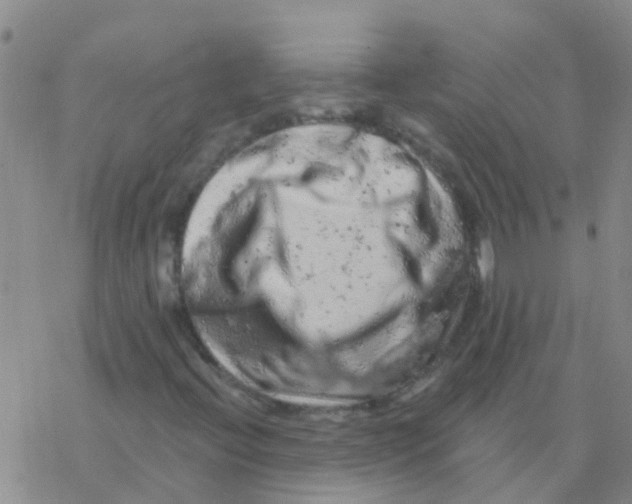 X0000076301396200610271902